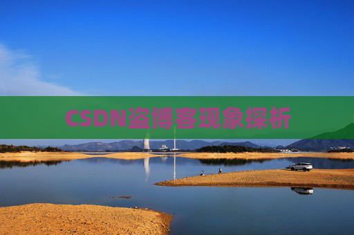 CSDN盗博客现象探析